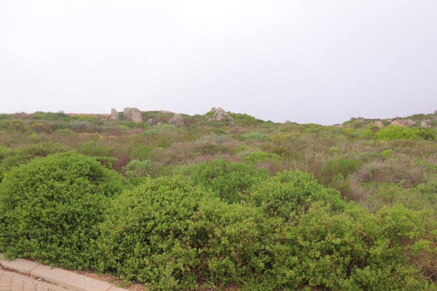 0 Bedroom Property for Sale in Steenbergs Cove Western Cape